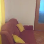 Lori